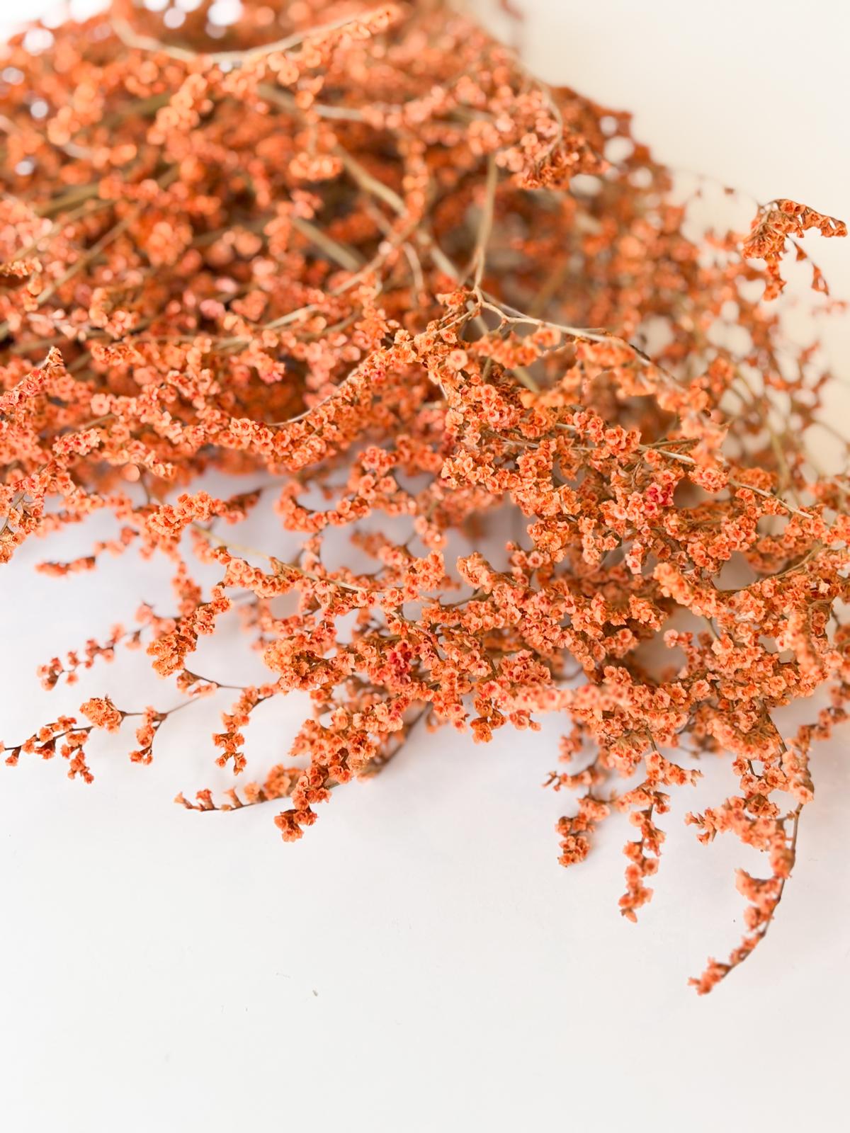 Droogbloemen statice tataricum terracotta voor doopsuiker - Atelier D