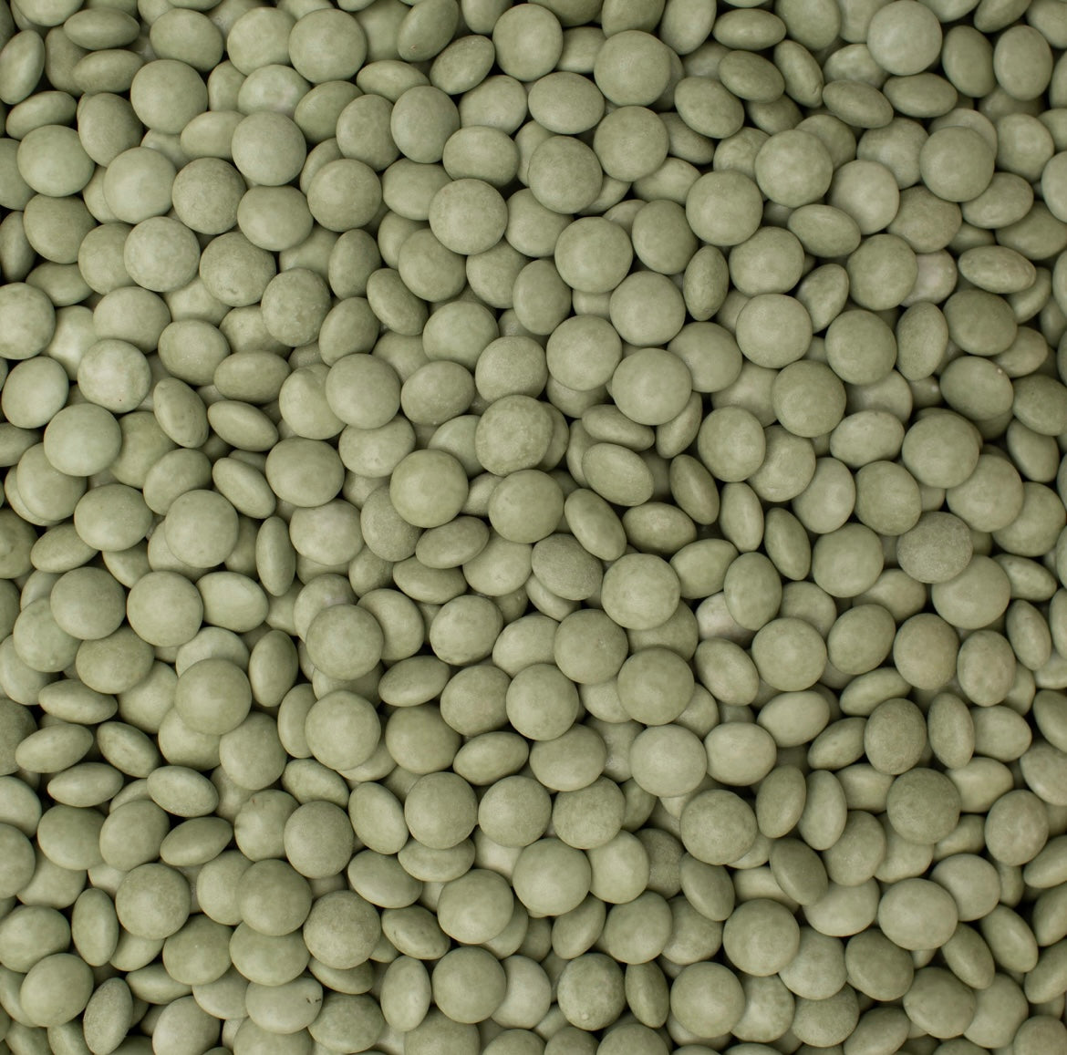 Lentilles XS Eucalyptus