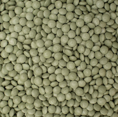 Lentilles XS Eucalyptus