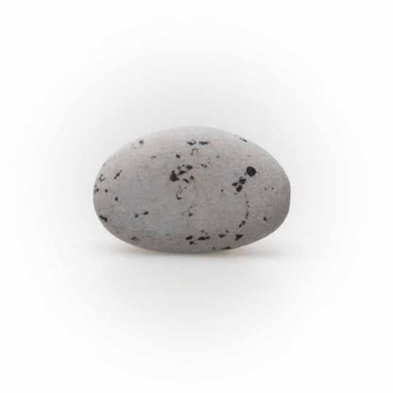 Suikerbonen picasso Grijs 1kg - DB
