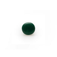 Lentilles Pine - DB