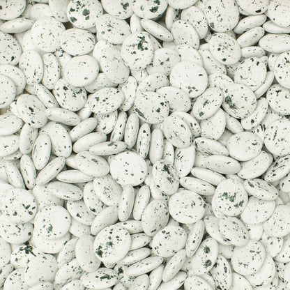 Lentilles Marbré Groen