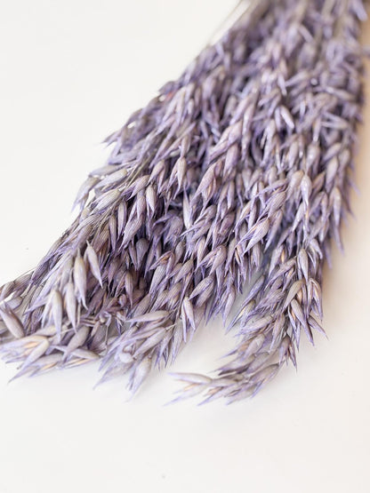 Staalpakketje Droogbloemen