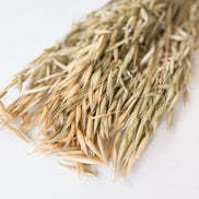 Droogbloemen avena zongebleekt voor doopsuiker - Atelier D