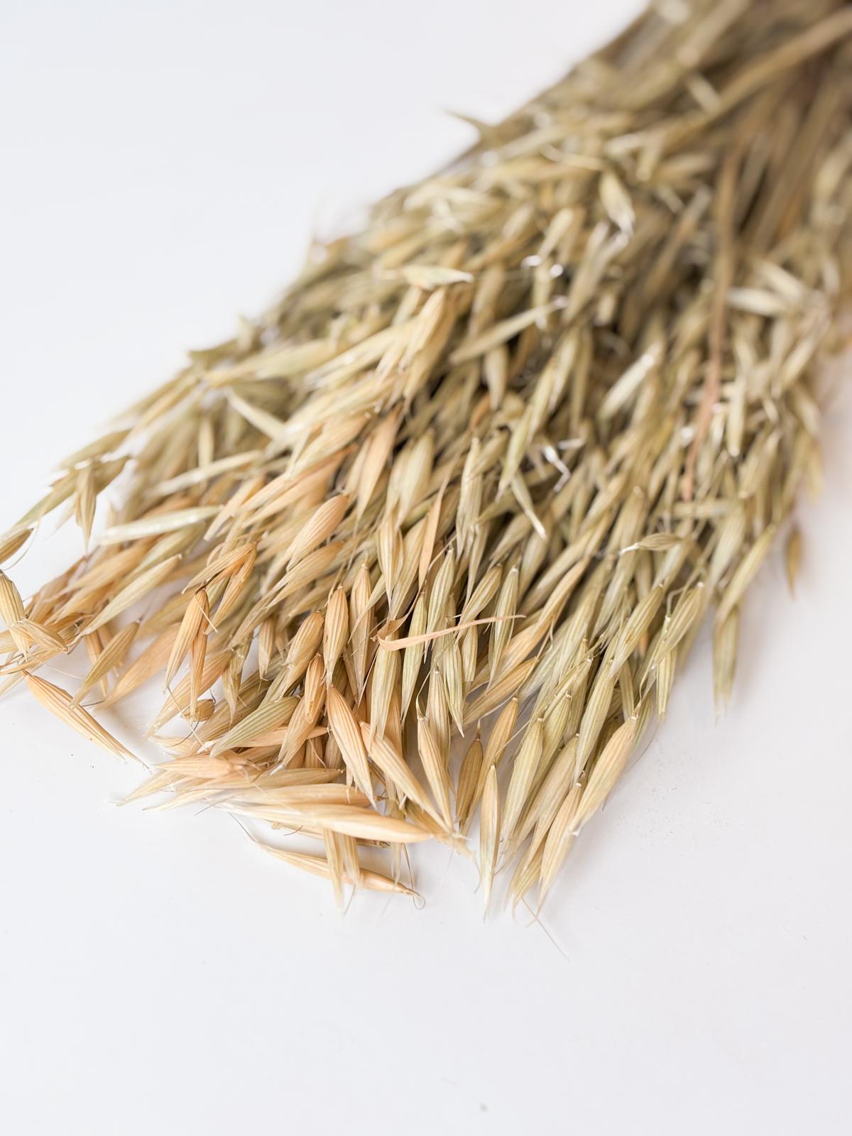 Droogbloemen avena zongebleekt voor doopsuiker - Atelier D