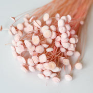 Droogbloemen botao roze voor doopsuiker - Atelier D