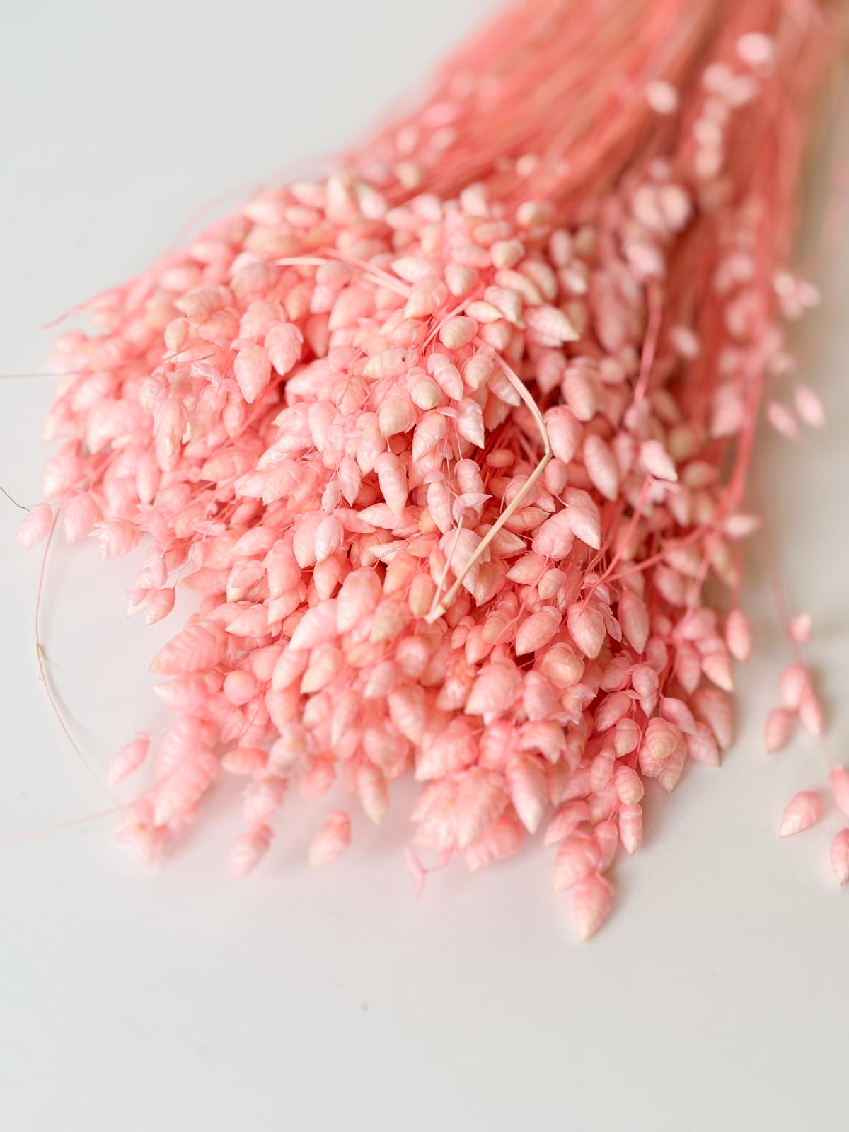Droogbloemen briza maxima roze voor doopsuiker - Atelier D