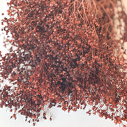 Droogbloemen broom bloom bruin voor doopsuiker - Atelier D