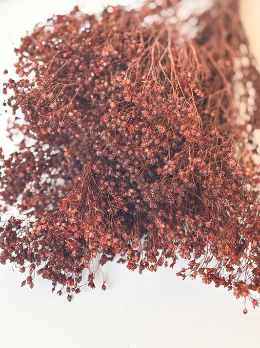 Droogbloemen broom bloom bruin voor doopsuiker - Atelier D