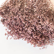 Droogbloemen broom bloom lila voor doopsuiker - Atelier D