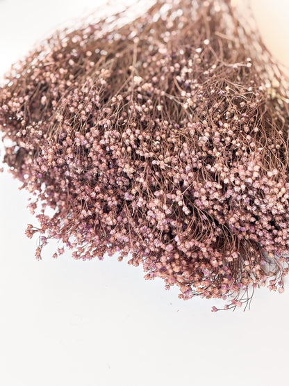 Droogbloemen broom bloom lila voor doopsuiker - Atelier D