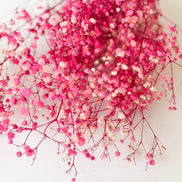 Droogbloemen gipskruid felroze voor doopsuiker - Atelier D