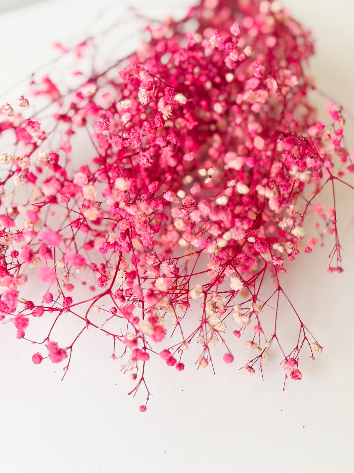 Droogbloemen gipskruid felroze voor doopsuiker - Atelier D