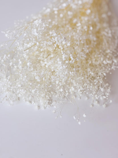 Droogbloemen gipskruid gebleekt voor doopsuiker - Atelier D