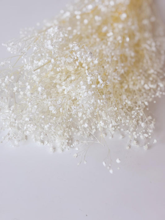 Droogbloemen gipskruid gebleekt voor doopsuiker - Atelier D