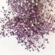 Droogbloemen gipskruid lila voor doopsuiker - Atelier D
