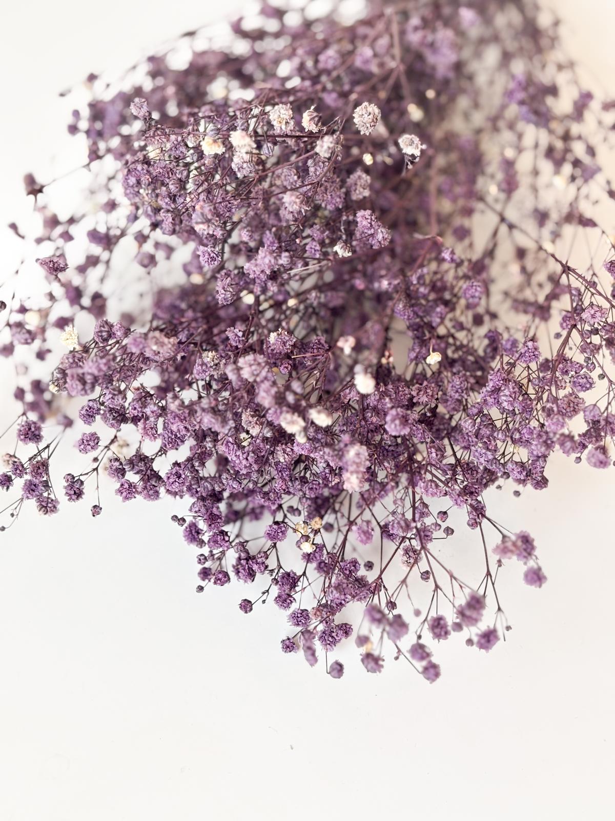 Droogbloemen gipskruid lila voor doopsuiker - Atelier D