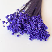 Droogbloemen glixia blauwpaars voor doopsuiker - Atelier D