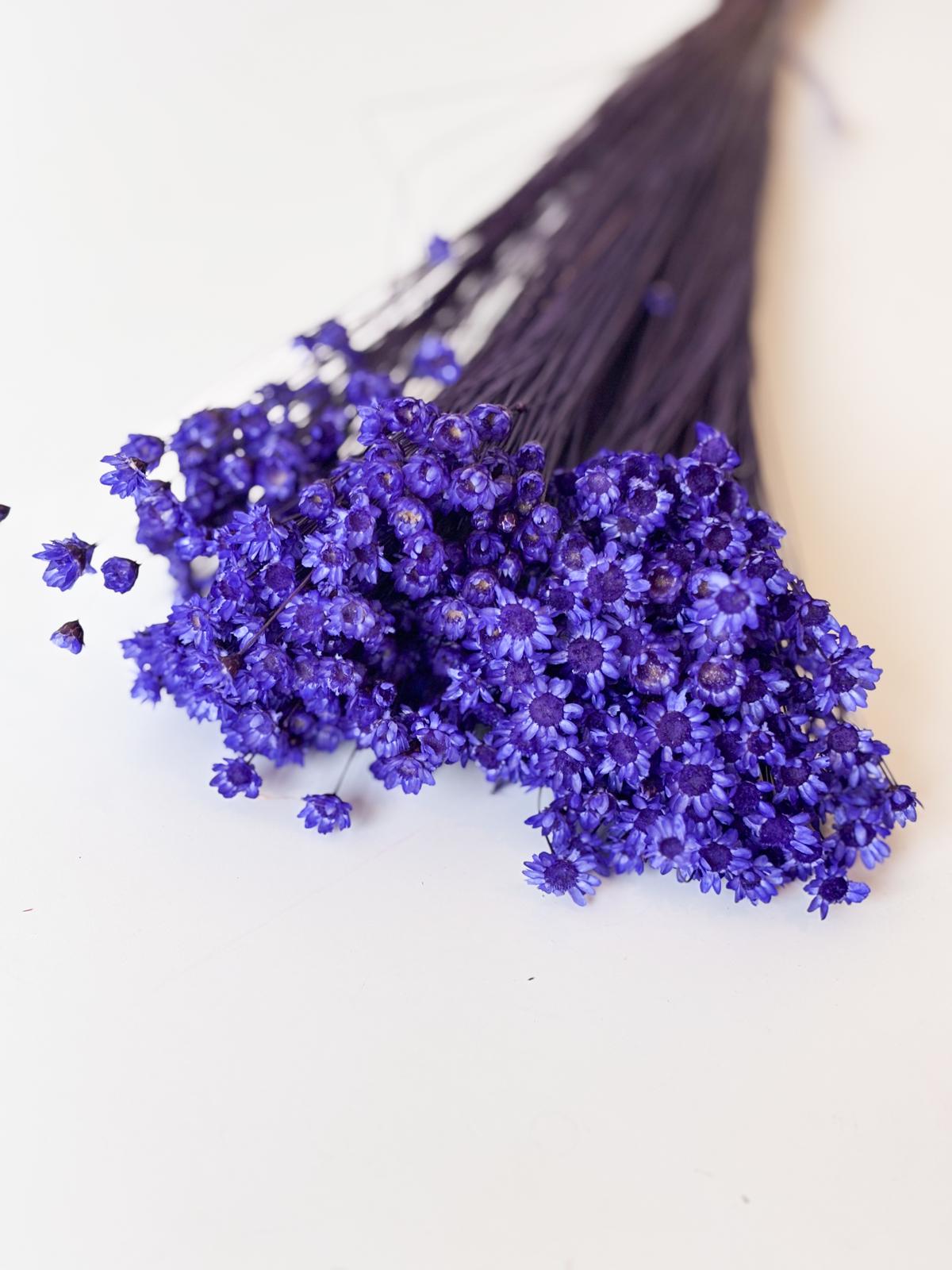 Droogbloemen glixia blauwpaars voor doopsuiker - Atelier D