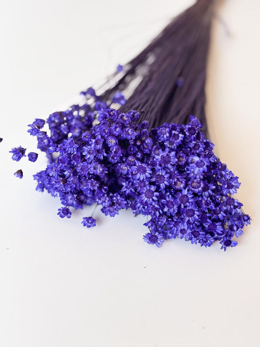 Droogbloemen glixia blauwpaars voor doopsuiker - Atelier D