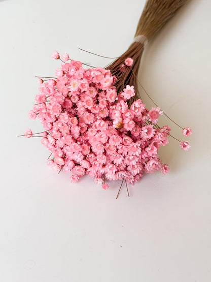 Droogbloemen glixia cerise voor doopsuiker - Atelier D