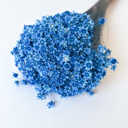 Droogbloemen glixia donker blauw voor doopsuiker - Atelier D