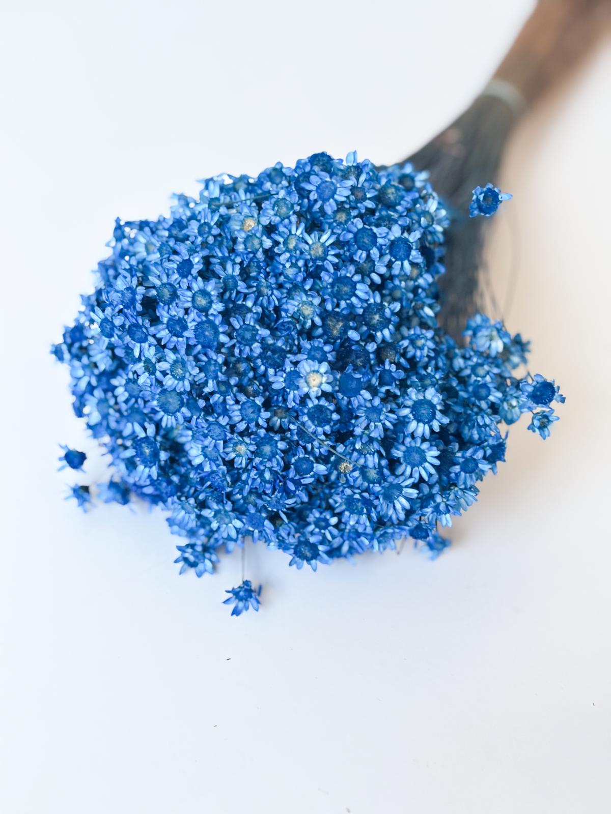 Droogbloemen glixia donker blauw voor doopsuiker - Atelier D