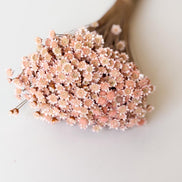 Droogbloemen glixia roze voor doopsuiker - Atelier D