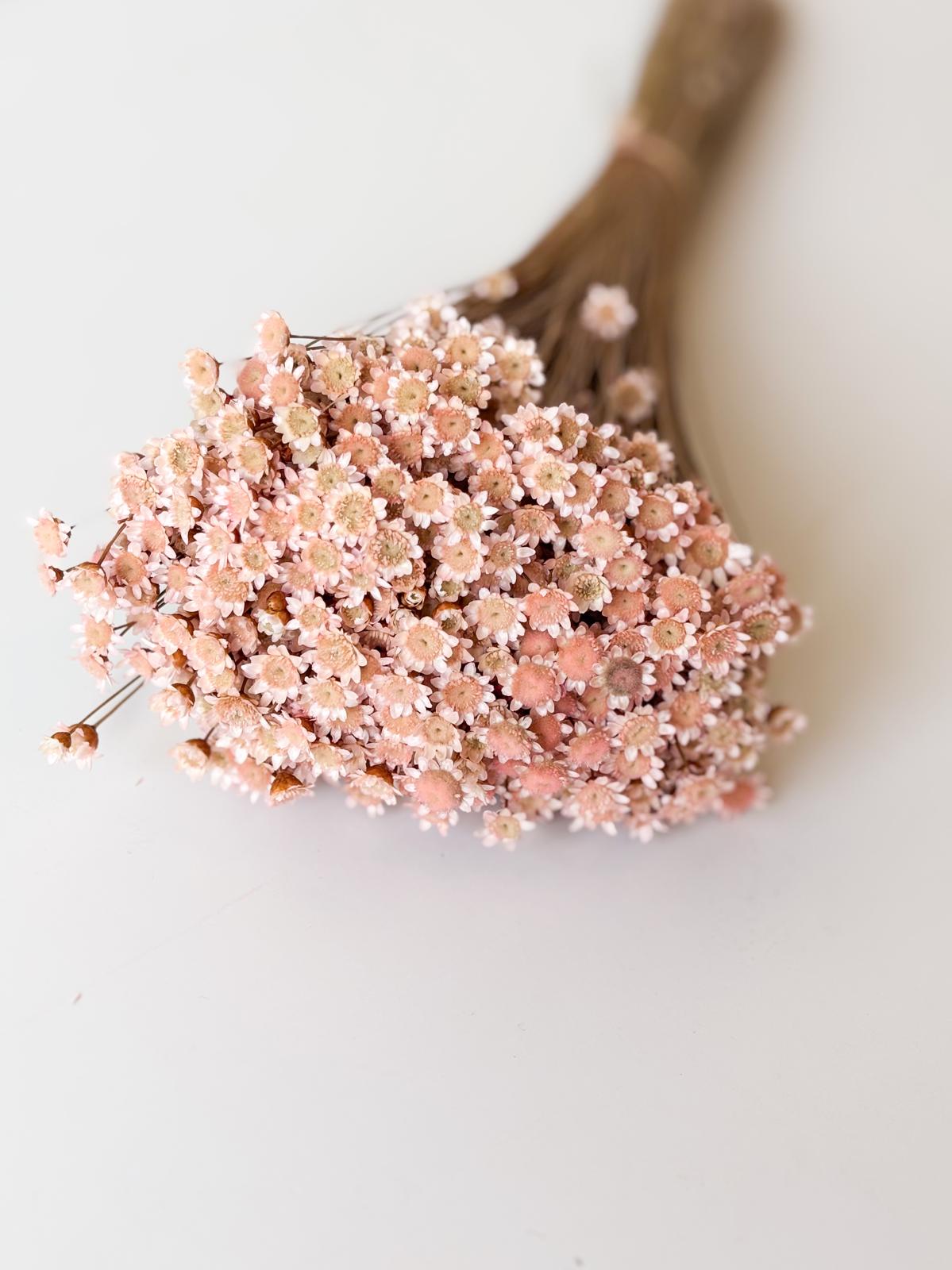 Droogbloemen glixia roze voor doopsuiker - Atelier D