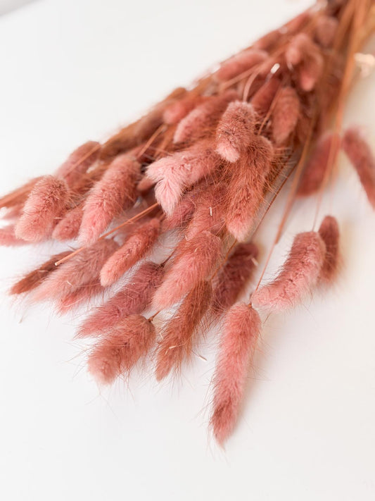 Droogbloemen lagurus oud roze voor doopsuiker - Atelier D