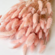 Droogbloemen lagurus roze voor doopsuiker - Atelier D