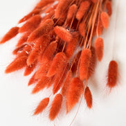 Droogbloemen lagurus terracotta voor doopsuiker - Atelier D