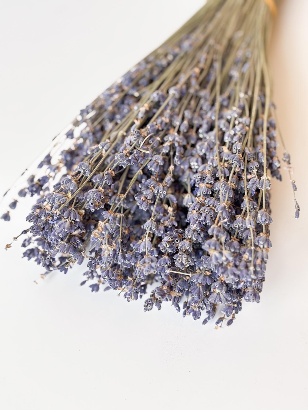 Droogbloemen lavendel voor doopsuiker - Atelier D