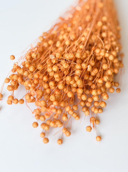 Droogbloemen lino vlas abrikoos voor doopsuiker - Atelier D