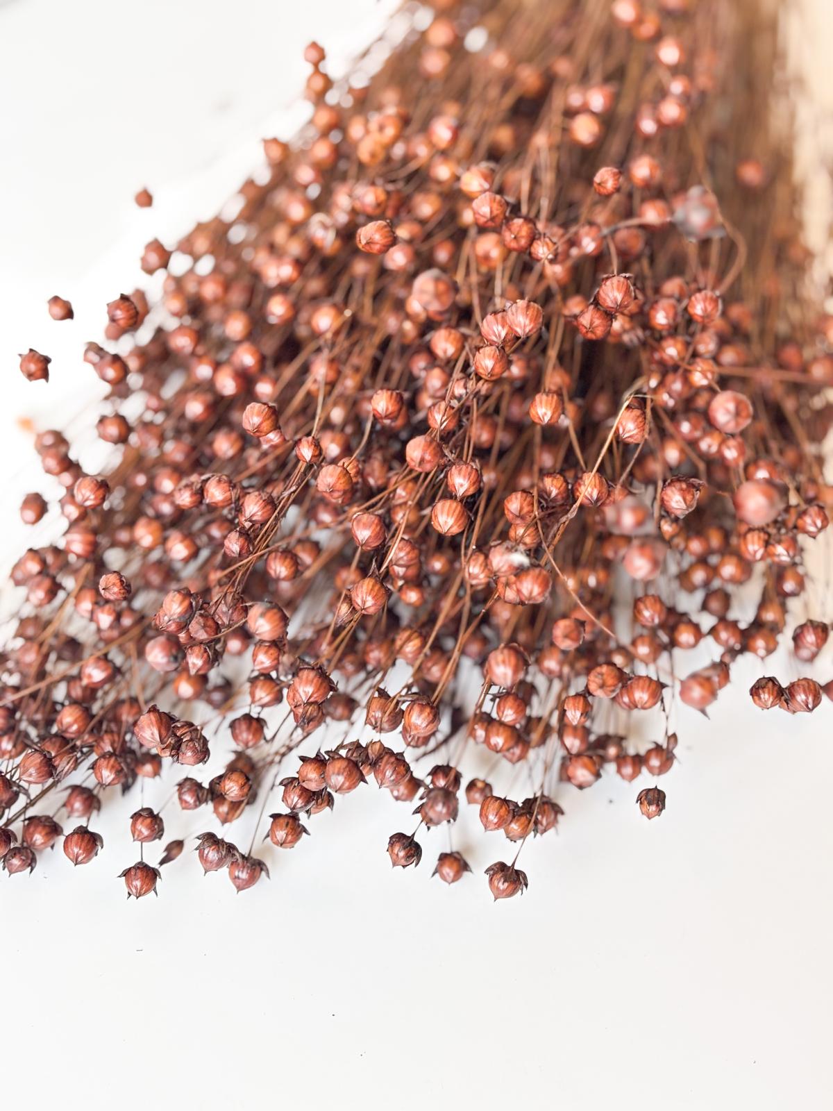 Droogbloemen lino vlas bruin voor doopsuiker - Atelier D