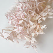 Droogbloemen ruscus roze voor doopsuiker - Atelier D
