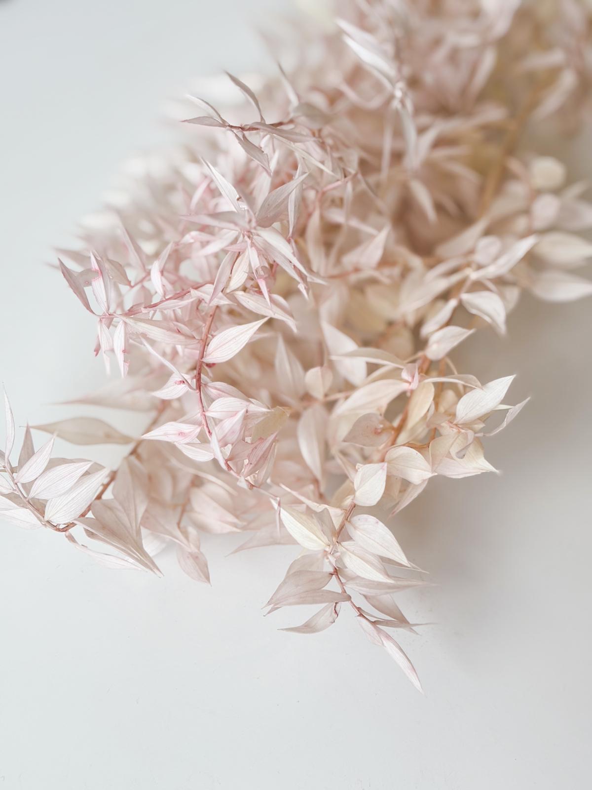 Droogbloemen ruscus roze voor doopsuiker - Atelier D