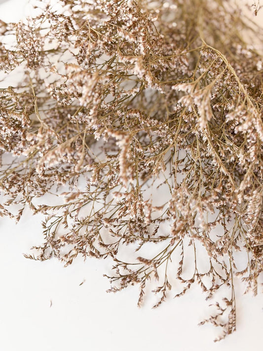 Droogbloemen statice tataricum naturel voor doopsuiker - Atelier D
