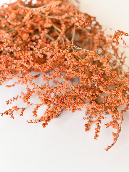 Droogbloemen statice tataricum terracotta voor doopsuiker - Atelier D