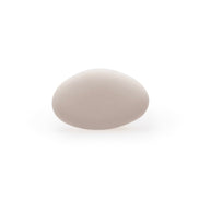 Suikerbonen: Dragees extra Nude voor doopsuiker - Atelier D