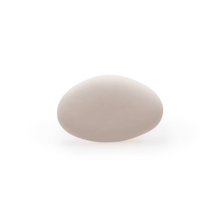 Suikerbonen: Dragees extra Nude voor doopsuiker - Atelier D